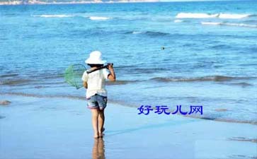 北戴河赶海