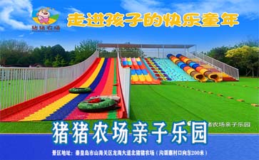 山海关猪猪农场