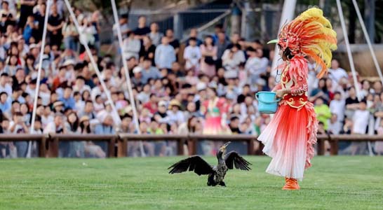 渔田七里海景区在哪里,旅游