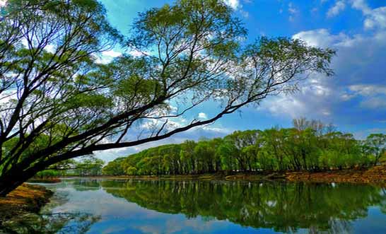 北戴河森林湿地公园怎么走,在哪