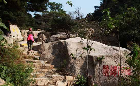 昌黎华夏长城葡萄酒庄园