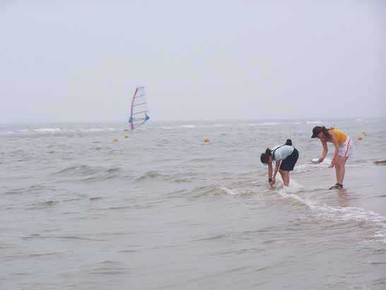 黄金海岸海滨浴场