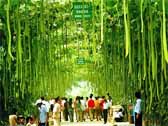 秦皇岛春节旅游攻略