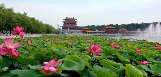 华侨城南戴河滨海国际旅游度假区