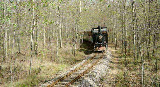 秦皇岛野生动物园