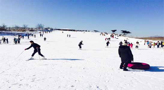 燕塞山森林滑雪场