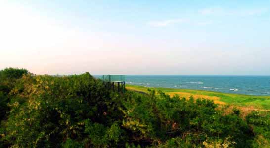 北戴河十鲤汤泉海景酒店